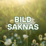 Bild saknas1