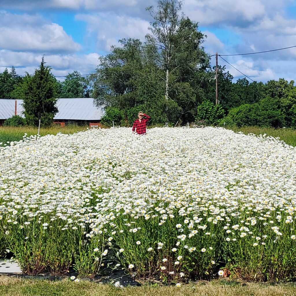 8b